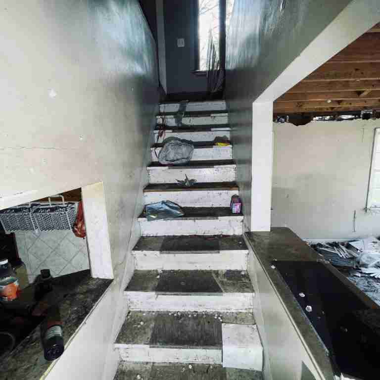 20506 Cardoni (43).jpg